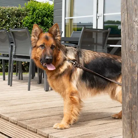 Holiday park Kompas Westende Nieuwpoort